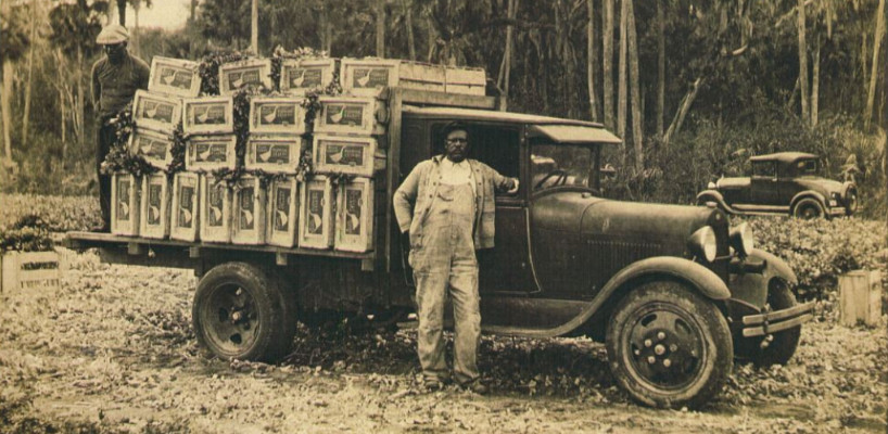 Black man standing in front of a truck with boxes of celery